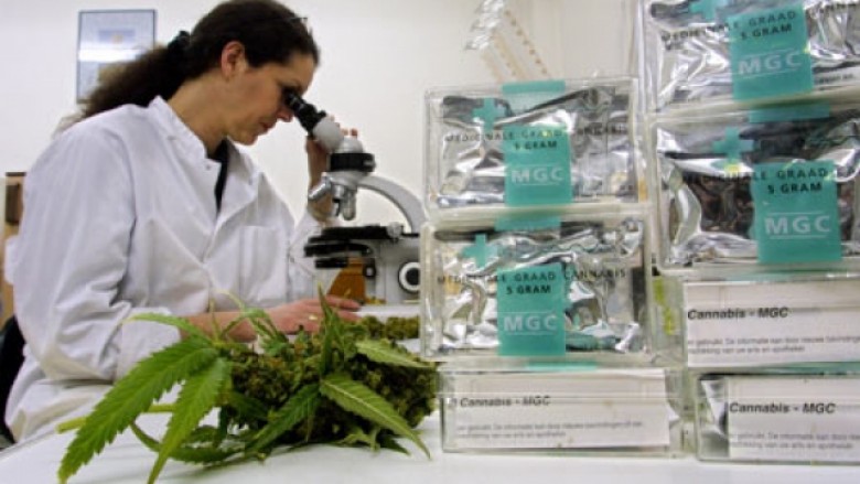 A mundet kanabisi të kurojë kancerin?