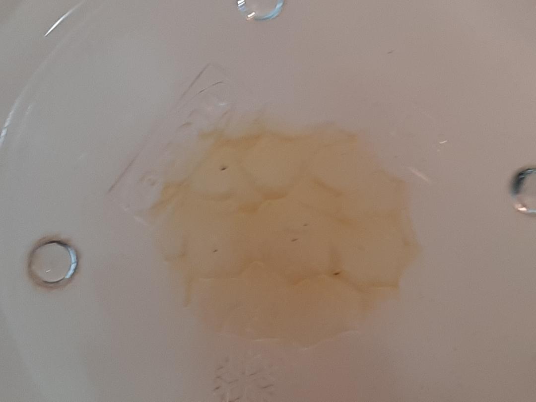 Si të Zbuloni Mjaltin Origjinal