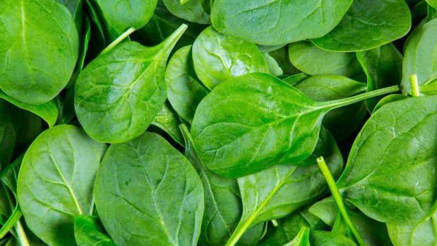 Ushqimet më të Mira për të ‘Frenuar’ Plakjen
