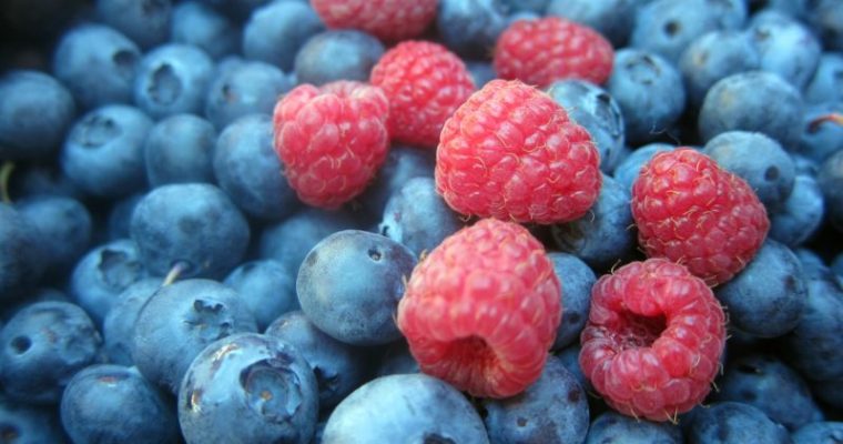 11 Ushqimet që Zgjasin Rininë