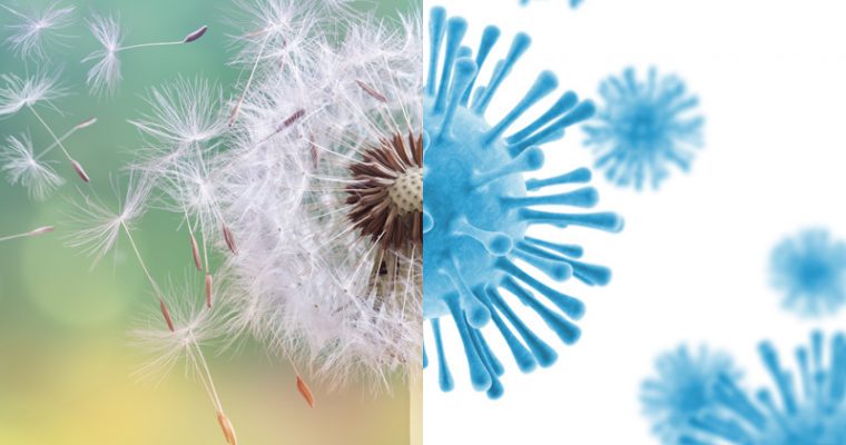 Sekretet për ti Shpëtuar Alergjive të Stinës